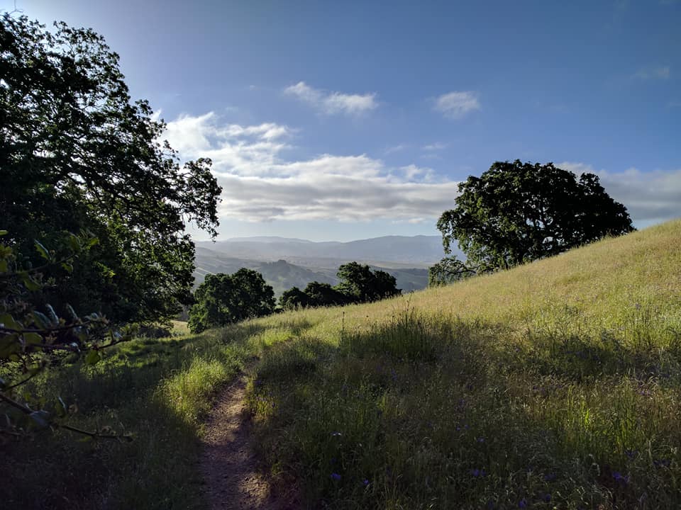 20993820_10214179194940244_4062426660729752841_n