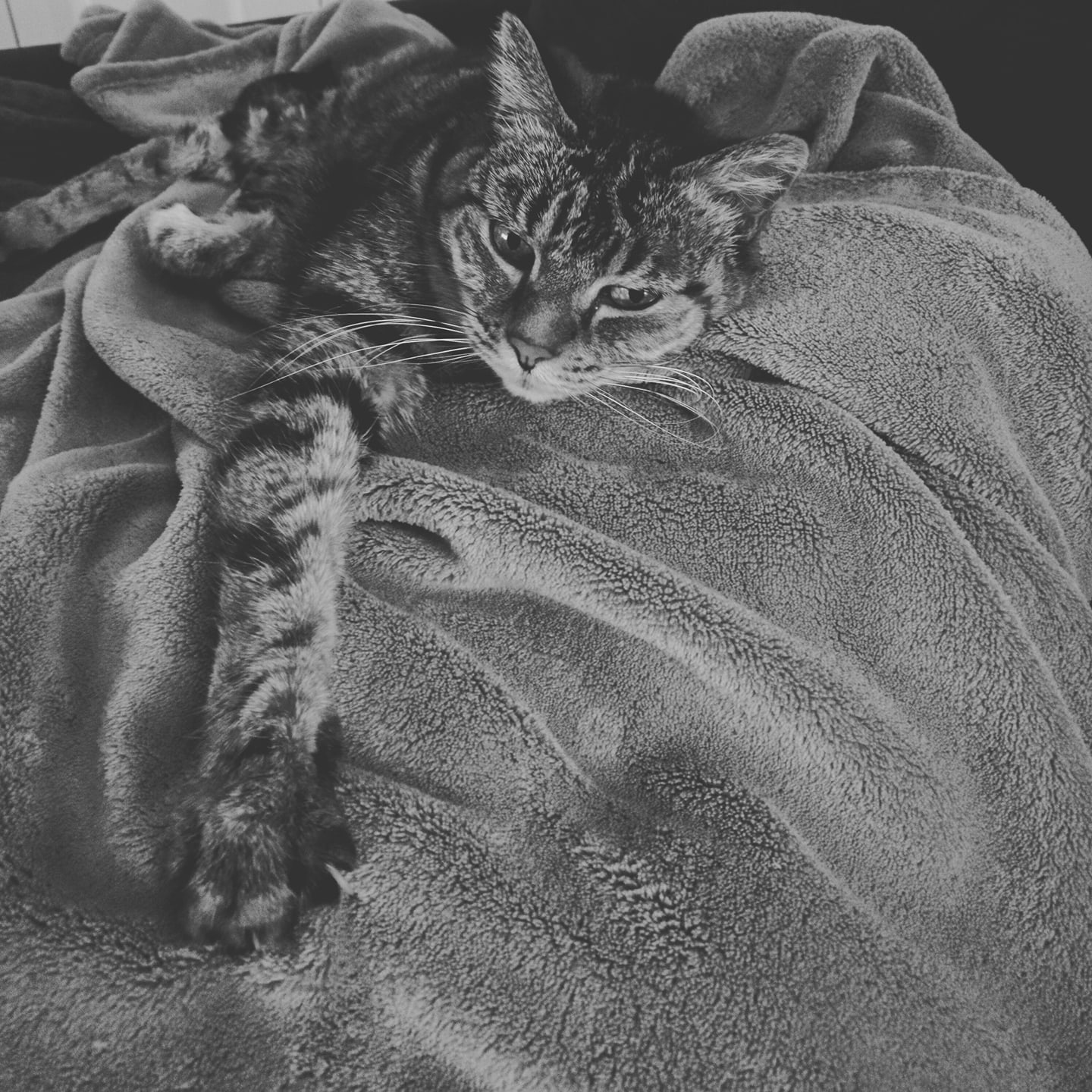 21544049_10214322997535219_7557433080216540578_o