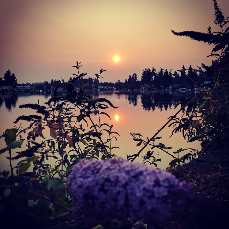 Sun rising though smoke in an orange sky over Oswego Lake. Purple butterfly bush in bloom contrasts in the foreground.