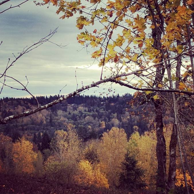 23659519_10214969735903274_1348357550184536507_n