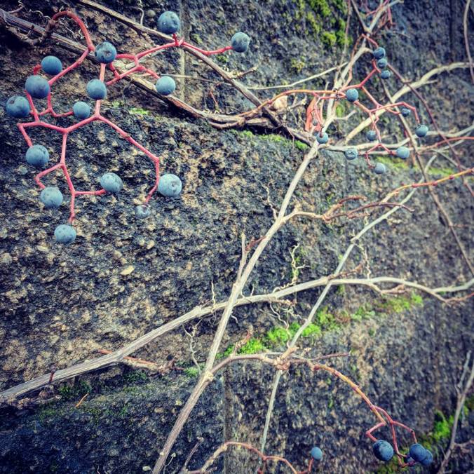 23722245_10214969736503289_2683341726741015299_n