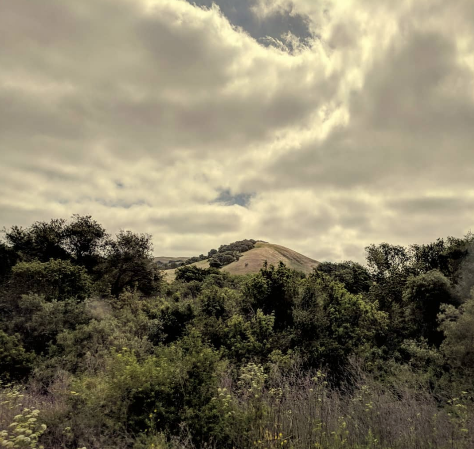 Screen Shot 2018-10-20 at 11.26.35 AM.png