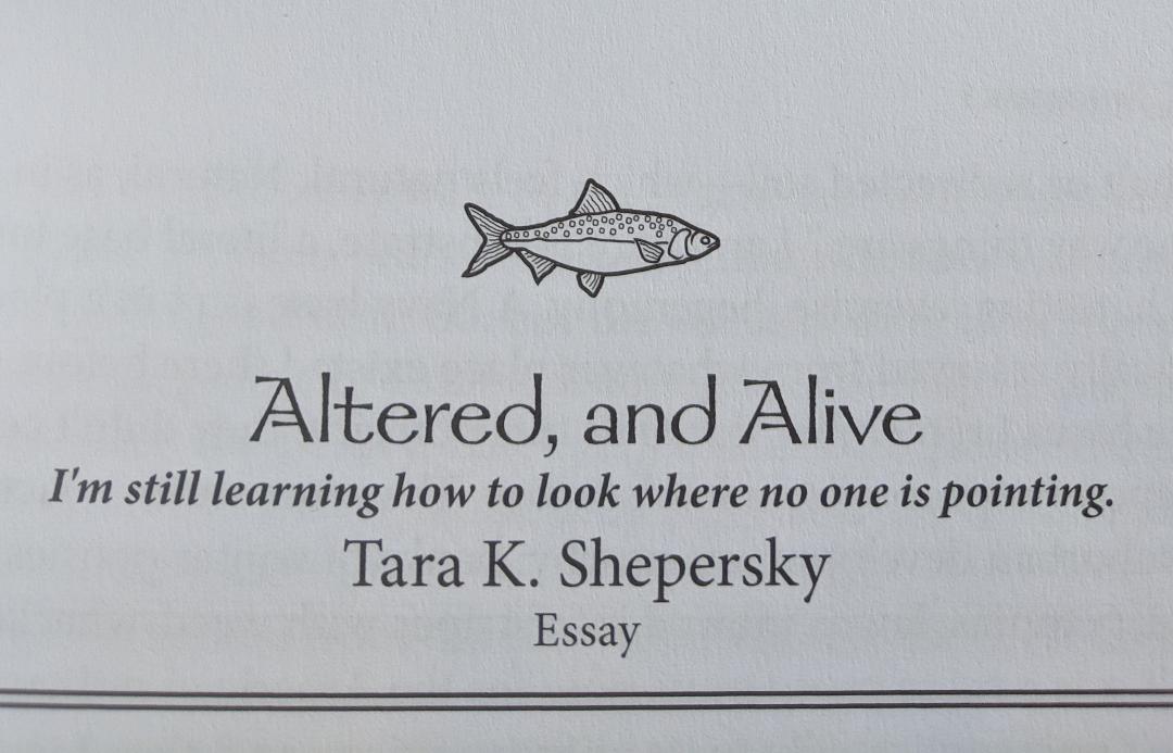 Title page for Altered, and Alive: "I'm still learning how to look where no one is pointing."