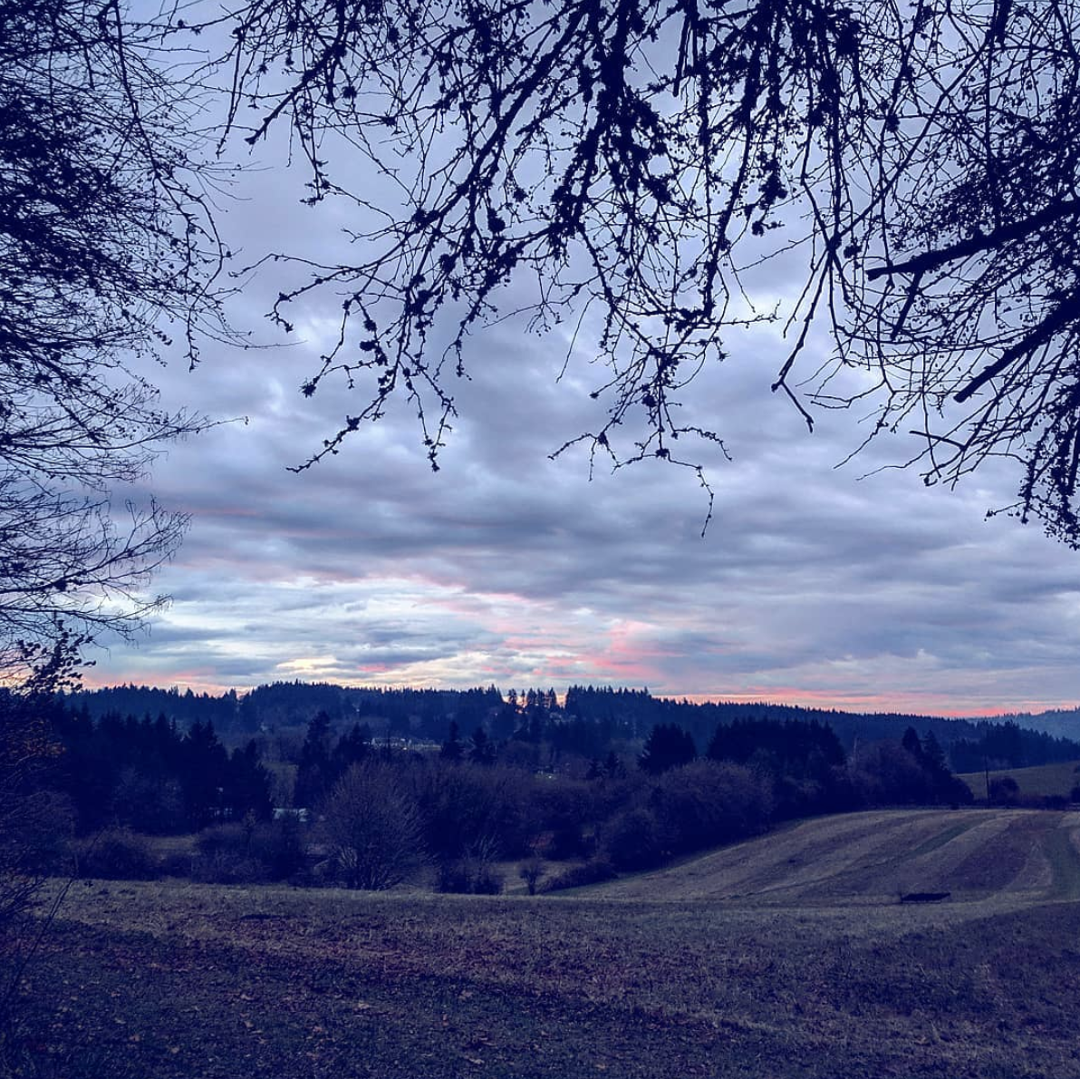 Pink-edged sunrise over stubbly winter fields