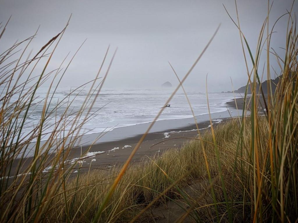 Oregon Coast near Cape Kiwanda, photographed on a grey and rainy day. Gold-green sedges in the foreground, with midground seafoam scattered on brown sand, and white waves breaking. 