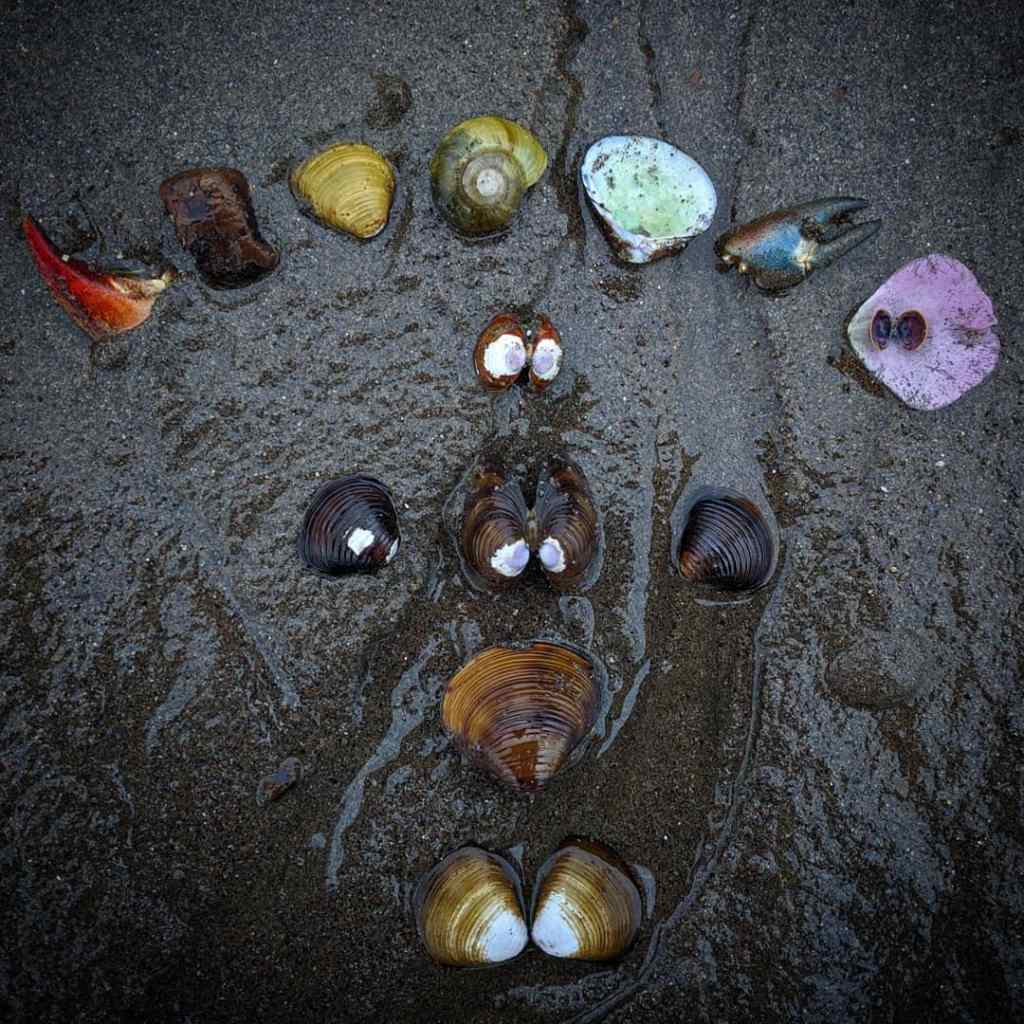 Shells, petals, claws, and stones arranged in a rainbow-based pattern on a grey-sand beach.